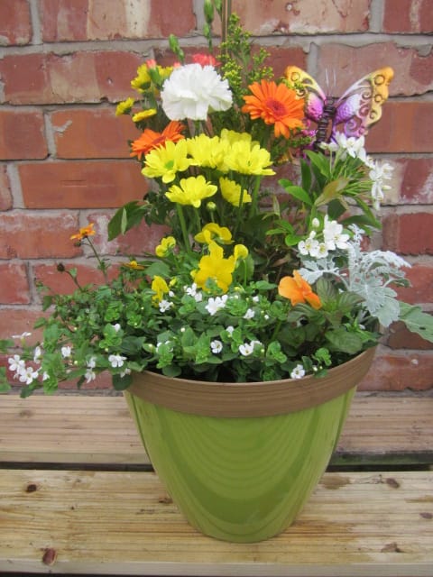 Flower Workshiop  May 2024