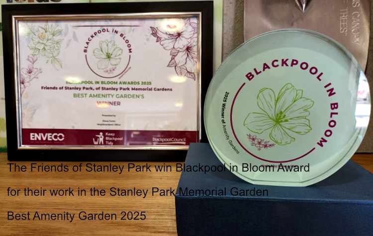 Friends of Stanley Park win Blackpool in Bloom Award 2025