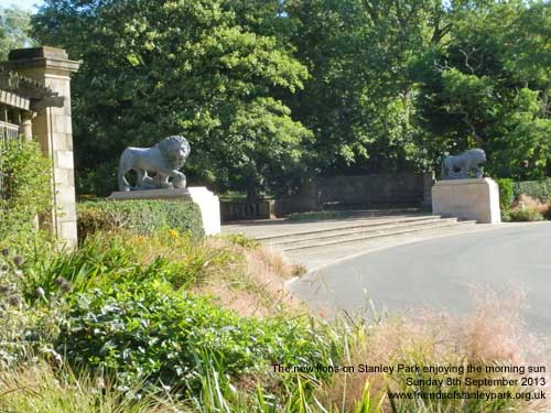 Blackpool Stanley Park's new lions 8th Sept 2013