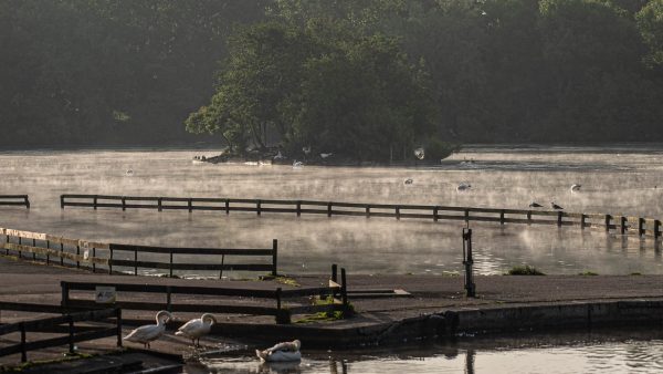 Stanley Park Blackpool, Park Life in a Pandemic, 2020.