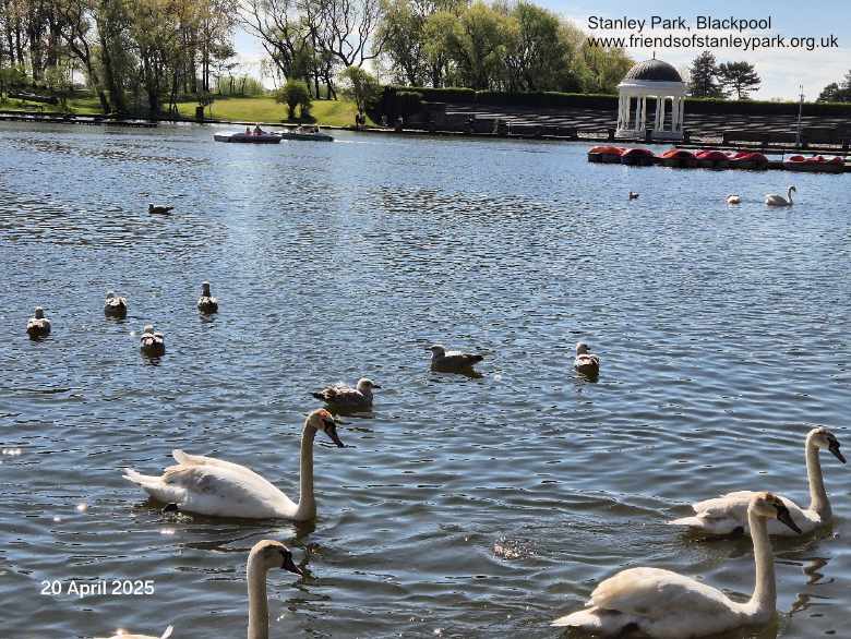 Stanley Park Lake and Bandstand Blackpool