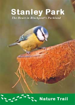 Stanley Park Nature Trail