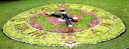 Floral Clock