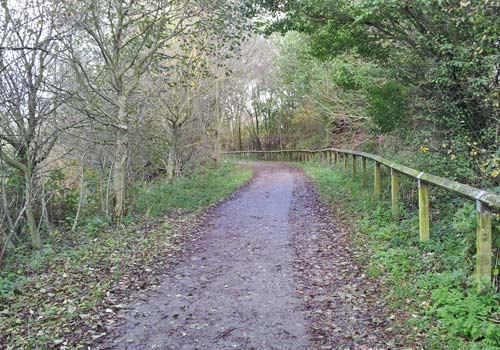 Stanley Park area - the track to Marton Mere